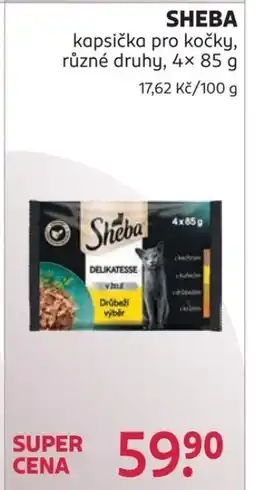 Rossmann Sheba nabídka