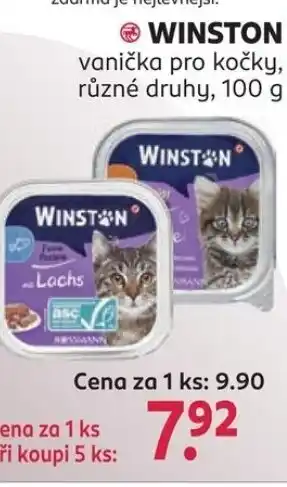 Rossmann Winston nabídka