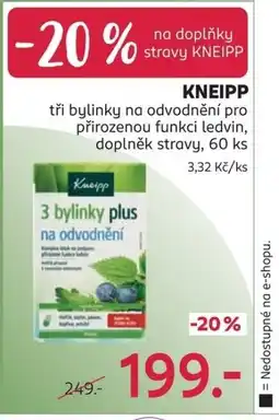 Rossmann Kneipp nabídka