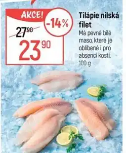 Globus Tilápie nilská filet nabídka