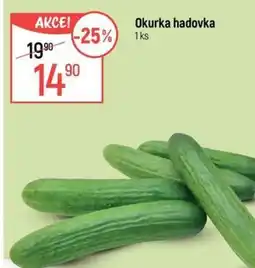 Globus Okurka hadovka nabídka