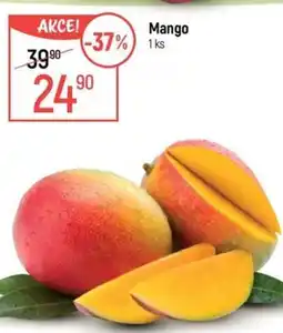 Globus Mango nabídka
