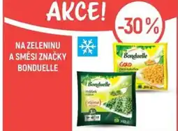 Globus Na zeleninu a směsi značky bonduelle nabídka