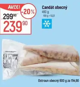 Globus Candát obecný nabídka