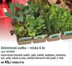 Bauhaus Zeleninová sadba - miska nabídka
