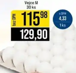 Jip Vejce M nabídka