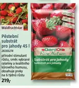 Bauhaus Pěstební substrát pro jahody nabídka