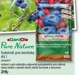 Bauhaus Substrát pro borůvky nabídka