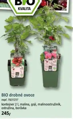 Bauhaus BIO drobné ovoce nabídka