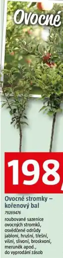 Bauhaus Ovocné stromky - kořenový bal nabídka