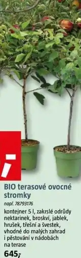 Bauhaus BIO terasové ovocné stromky nabídka