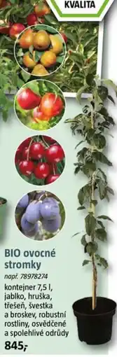 Bauhaus BIO ovocné stromky nabídka