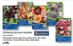 Bauhaus Cibuloviny pro jarní výsadbu nabídka