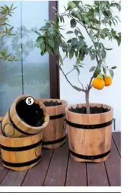 Bauhaus Dřevěné květináče nabídka