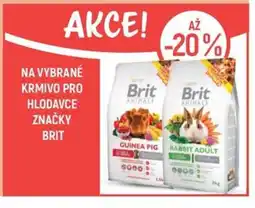 Globus Na vybrané krmivo pro hlodavce značky brit nabídka