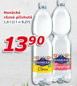 ESO MARKET Hanácká nabídka