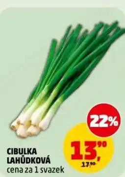 Penny Market Cibulka lahůdková cena za 1 svazek nabídka