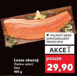 Kaufland LOSOS OBECNÝ nabídka