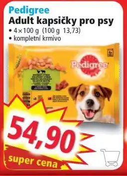 Norma Pedigree nabídka