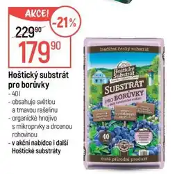 Globus Hoštický substrát pro borůvky nabídka