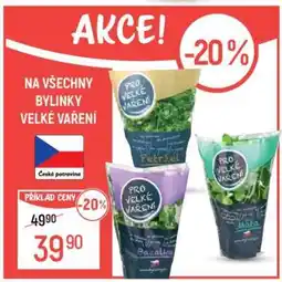 Globus Bylinky Velké Vaření nabídka