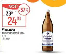 Globus VINCENTKA nabídka