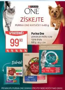 Globus Purina One nabídka