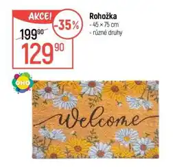 Globus ROHOŽKA nabídka