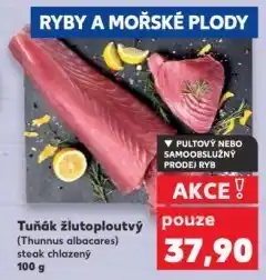 Kaufland Tuňák žlutoploutvý nabídka