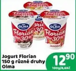 Brněnka Jogurt florian různé druhy olma nabídka