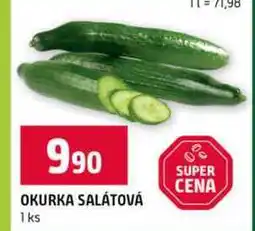 Terno OKURKA SALÁTOVÁ 1ks nabídka