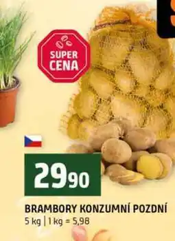 Terno BRAMBORY KONZUMNÍ POZDNÍ nabídka