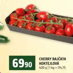 Terno CHERRY RAJČATA KOKTEJLOVÁ nabídka