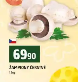 Terno ŽAMPIONY ČERSTVÉ nabídka
