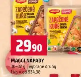Terno MAGGI NÁPADY 30-32 g vybrané druhy nabídka