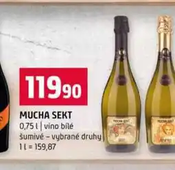 Terno MUCHA SEKT 0,75l vino bilé šumivé vybrané druhy nabídka