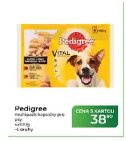 Tamda Foods Pedigree multipack kapsičky pro psy nabídka