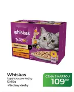 Tamda Foods Whiskas kapsička pro kočky nabídka