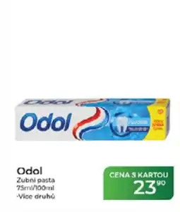 Tamda Foods Odol Zubni pasta nabídka