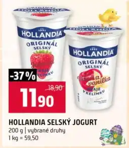 Terno Hollandia Selský jogurt nabídka