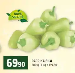 Terno PAPRIKA BÍLÁ nabídka
