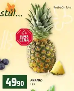 Terno Ananas nabídka