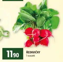 Terno Ředkvičky nabídka