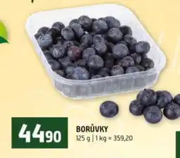 Terno Borůvky nabídka