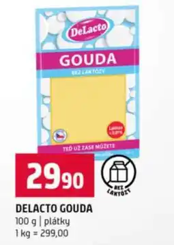 Terno DELACTO GOUDA nabídka