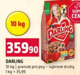 Terno Darling nabídka