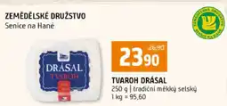 Terno TVAROH DRÁSAL nabídka