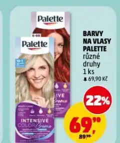 Penny Market Palette barva na vlasy nabídka