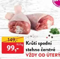 MP Krásno Krůtí spodní stehno čerstvé nabídka
