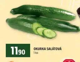 Terno Okurka salátová nabídka